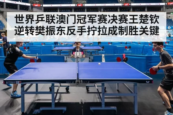 table tennis match action