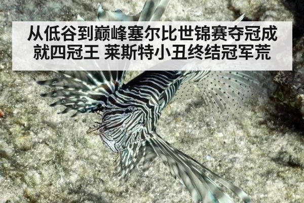 从低谷到巅峰塞尔比世锦赛夺冠成就四冠王 莱斯特小丑终结冠军荒