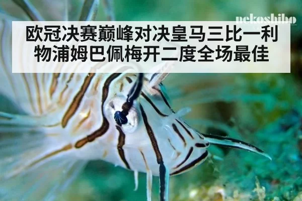 欧冠决赛巅峰对决皇马三比一利物浦姆巴佩梅开二度全场最佳